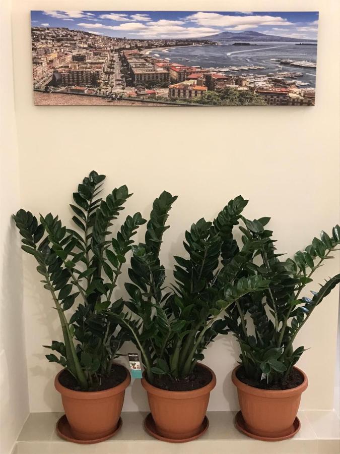 Costa Apartment Nápoly Kültér fotó